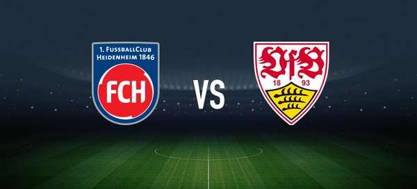 伊布侄儿德甲首秀抢镜 海登海姆战斯图加特现奇兵